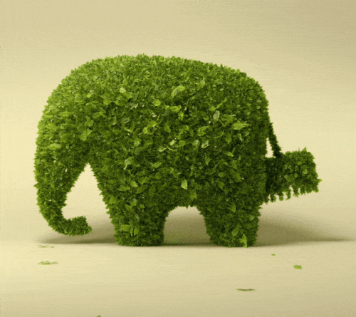 <b>El Poder del Verde</b>