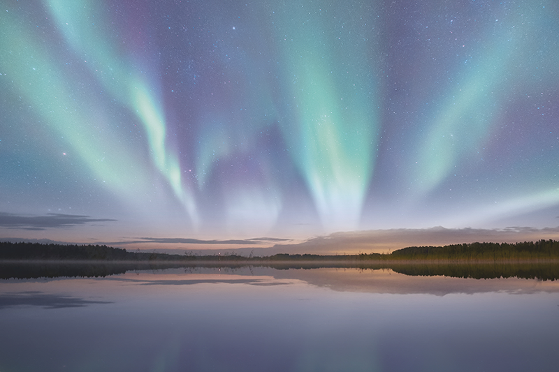 Colores tendencia en 2025